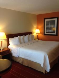 a hotel room with a large bed with two lamps at Rodeway Inn & Suites Greensboro Southeast in Greensboro
