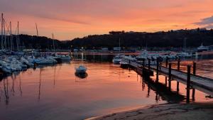 a group of boats docked in a marina at sunset at Regina in Ortona