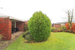 Un arbusto verde en un patio al lado de una casa. en Bungalow-Cara, en Norddeich