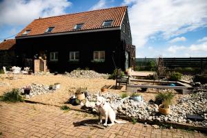 a dog sitting in front of a house at Old Barn, Beach Farm Hunstanton - Dog Friendly in Heacham