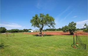 a field with a tree and a goal at Nice Home In Hr-52215 Vodnjan in Vodnjan