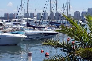 Gallery image of Jamaica Punta del Este Hotel & Residence in Punta del Este