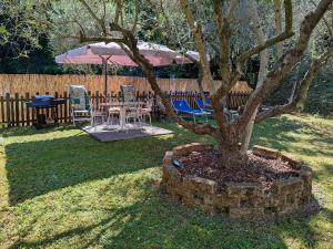 a tree in a stone circle with a table and chairs at Oasi degli ulivi in Luni