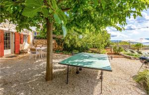 stół do ping-ponga pod drzewem na podwórku w obiekcie Pet Friendly Home In Brzac With Wifi w mieście Brzac