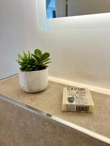 a bar of soap and a potted plant on a counter at Airport Business Apartment in Norderstedt