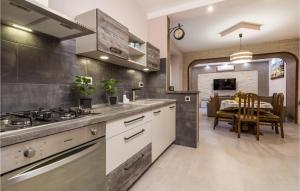 Kuchyňa alebo kuchynka v ubytovaní 3 Bedroom Awesome Apartment In Rijeka