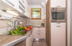 Kuchyň nebo kuchyňský kout v ubytování Pet Friendly Apartment In Zambratija