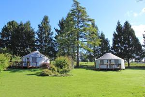 two yurt tents in a field with trees at Gîte Les yourtes de Saint Mathieu N°3 in Saint-Mathieu