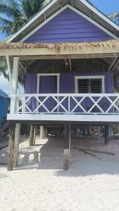 瓜隆岛Paradiso Ocean front Bungalows的海滩上的紫色房子,棕榈树