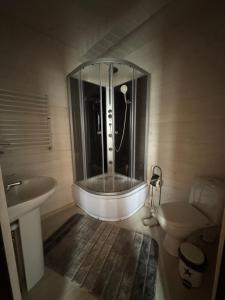 a bathroom with a shower and a sink and a toilet at Опришок in Palyanytsya +78 photos