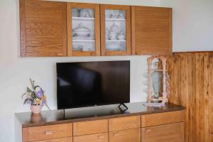 a flat screen tv sitting on top of a wooden cabinet at Apartment Skala with Magnificent view in Rečica ob Savinji
