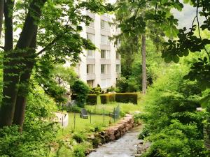 a garden with a stream and a building in the background at Ferienwohnung Elmi in Bad Harzburg