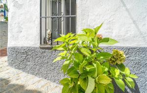 Vonkajšia záhrada v ubytovaní 1 Bedroom Lovely Home In Jubrique