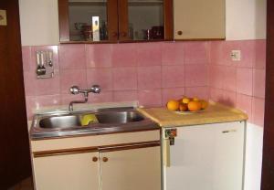 Kuchyň nebo kuchyňský kout v ubytování Apartments Nebo