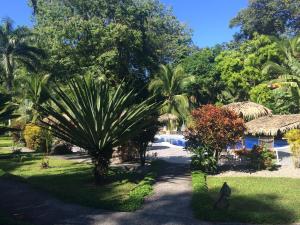 Jardín al aire libre en Hotel Suizo Loco Lodge & Resort