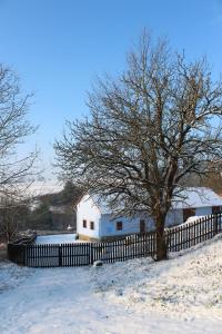 Príroda v okolí of the country house