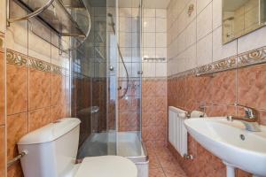 un bagno con wc, lavandino e doccia di Stasikowa Ostoja a Bukowina Tatrzańska Altre 111 foto