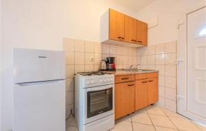 Η κουζίνα ή μικρή κουζίνα στο Cozy Apartment In Kustici With Wifi