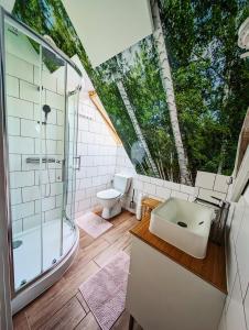 Ένα μπάνιο στο Domki Zalesie