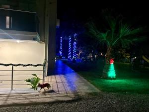 Fotografia z galérie ubytovania Martimi Apartments - 200M from Drapanias Beach - Pool - Hot Tub - Sauna - BBQ v destinácii Kissamos