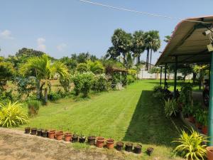 a yard with potted plants in a yard at Sivarama garden resort 5star stay swimming pool 2BHK dorathota to bheemunipatam beach road in Visakhapatnam