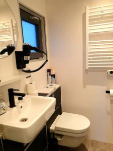 un bagno con lavandino, WC e specchio di Houseboat Isola a Monnickendam