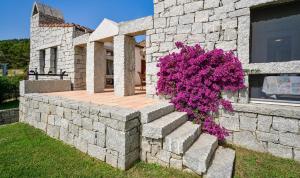 Κήπος έξω από το Villa Li Conchi 35