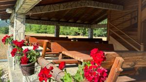 Zahrada ubytování Forest Camp