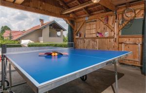 Stolný tenis v ubytovaní Three-Bedroom Holiday Home In Starjak alebo v jeho okolí