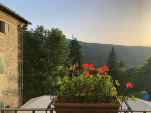 Příroda nedaleko hotelu