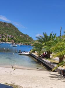 a beach with palm trees and boats in the water at Une petite halte à Terre-de-Haut in Terre-de-Haut