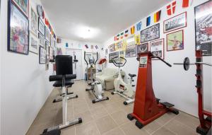 Posilňovňa alebo fitness centrum v ubytovaní Awesome Home In Prgomet With Jacuzzi