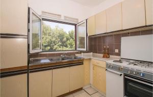 Kuchyň nebo kuchyňský kout v ubytování Holiday Home Borova Bb