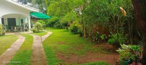 Zahrada ubytování The Green Weligama