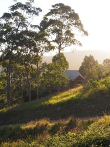 a house on top of a hill with trees at Bundle Hill Cottages in Bawley Point