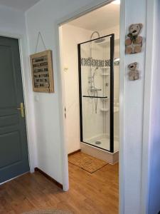a bathroom with a shower with a glass door at chalet mitoyen en duplex in La Joue du Loup