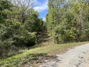 a dirt road through a forest with trees at Rock Stalls Lodge Hocking Hills in Logan +29 photos
