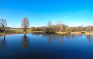 a large blue lake with a tree in the middle at Charlet in Süsel +15 photos