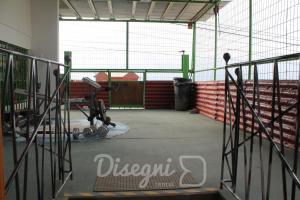 Fitness centrum a/nebo fitness zařízení v ubytování Hostal Cristina, Central Caldera, Habitación Privada Disegni 11-12