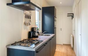 a kitchen with a stove and a counter top at Awesome Home In Heinkenszand With Wifi in Heinkensand