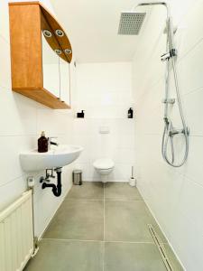 um banheiro com pia, vaso sanitário e chuveiro em Beautiful 4BR Apt for up to 12P 10 Min to FAC Platz em Viena