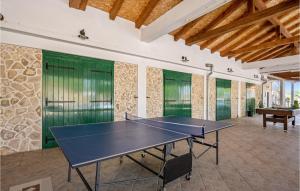 eine Tischtennisplatte in einem Zimmer mit grünen Wänden in der Unterkunft 2 Bedroom Nice Home In Nevest in Unešić