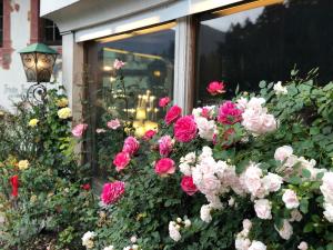 Um jardim no exterior de Schloss Hotel Fernsteinsee