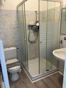a bathroom with a shower and a toilet and a sink at Villa Thyziri in Roquefort-les-Pins