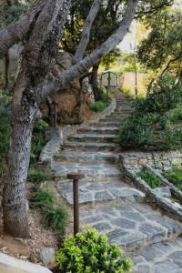 Gallery image of Villa Mare di Spartaia in Procchio