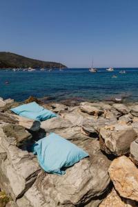 Gallery image of Villa Mare di Spartaia in Procchio +65 photos