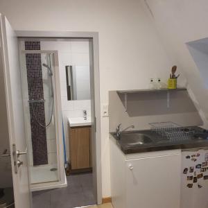 Η κουζίνα ή μικρή κουζίνα στο Studio Obernai