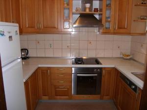 Kuchyňa alebo kuchynka v ubytovaní Apartments Mirko