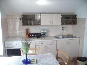 Kuchyň nebo kuchyňský kout v ubytování Apartment Mirni