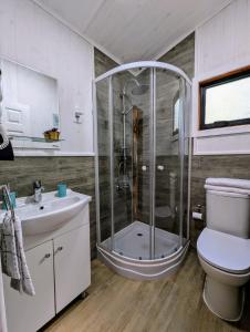 um banheiro com chuveiro, vaso sanitário e pia em Casa del bosque em Catrico mais 16 fotografias